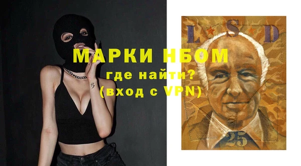 мдпв Абаза
