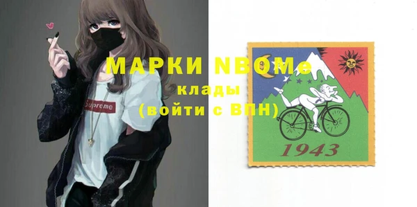 мдпв Абаза