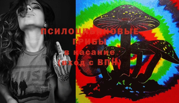 2c-b Осташков