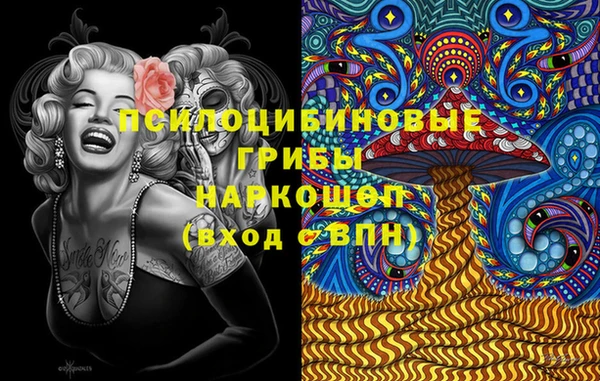 мдпв Абаза
