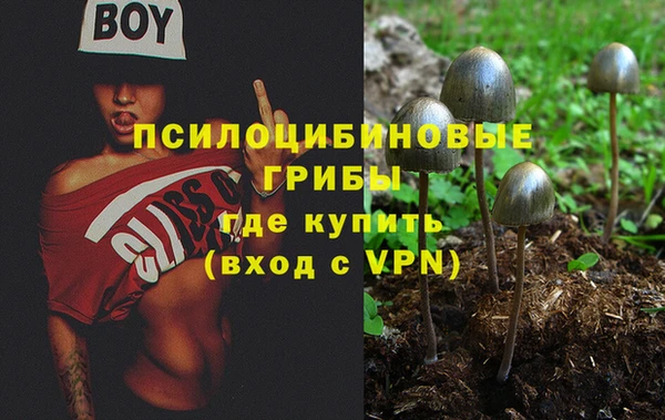 мдпв Абаза